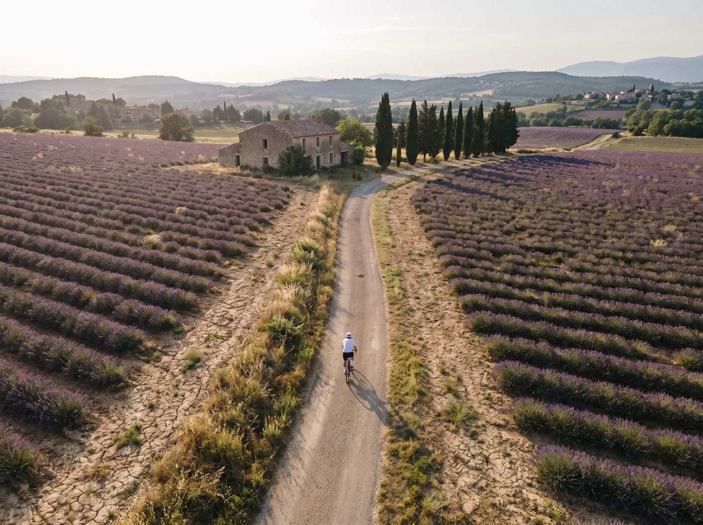 Image de film générée par IA : vue aérienne d'un cycliste sur une route entre les champs de lavande de Provence, en fin de journée